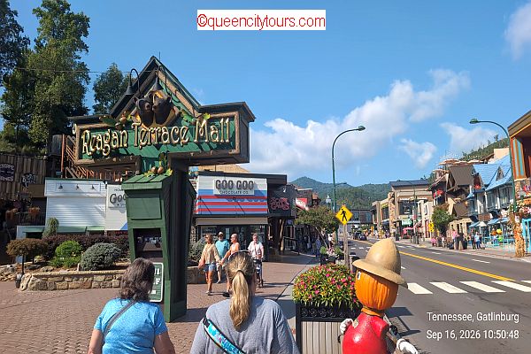 QCT Holiday Trips 2026 October Travel Article Pic!