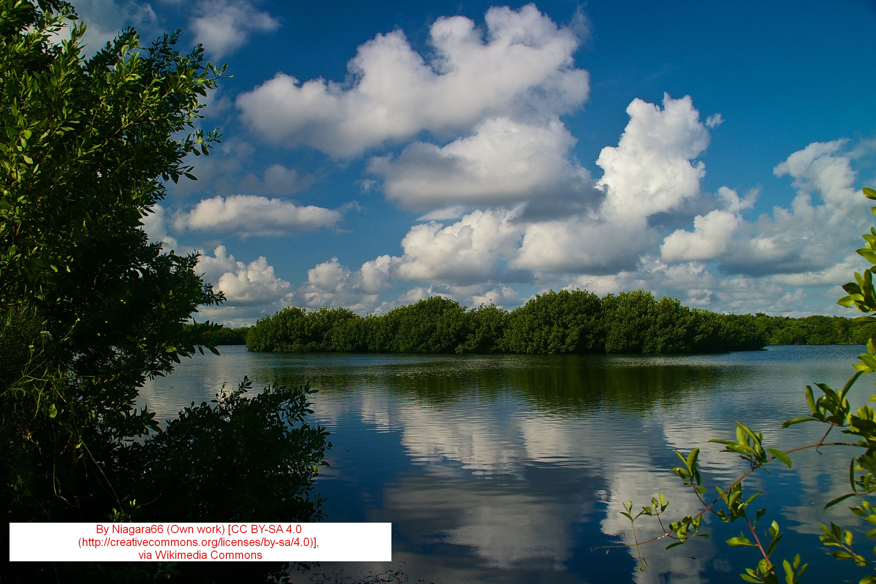 Florida Everglades Regional Travel News