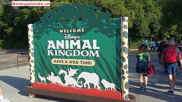 Disney's Animal Kingdom Orlando Florida Travel Article